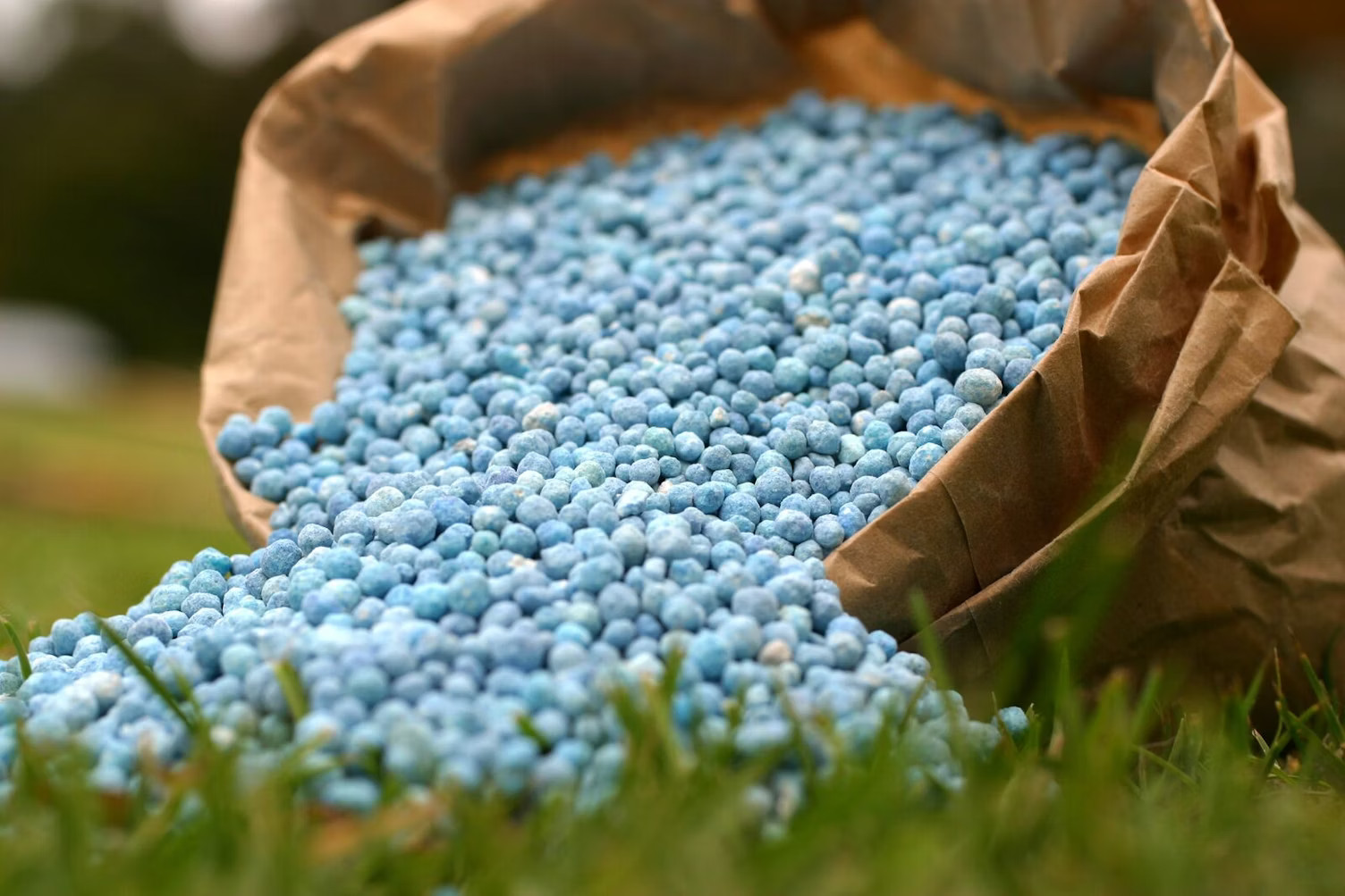 Inorganic Fertilizers